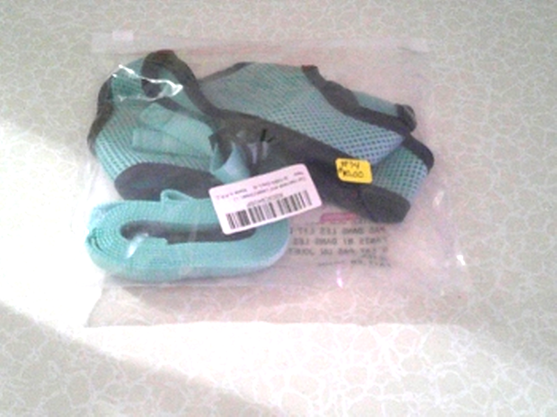 (image for) Cat Harness & Leash (Green)