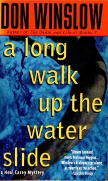 (image for) Book (A Long Walk Up the Water Slide)