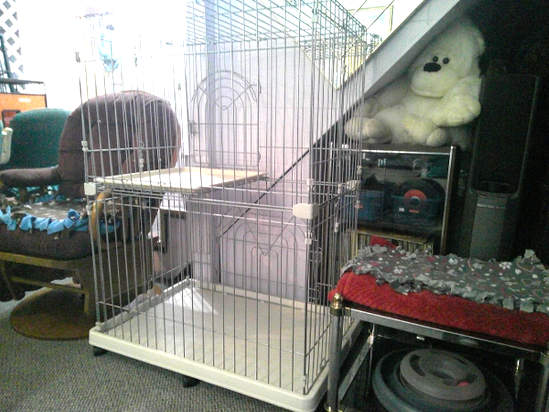 (image for) Cat Cage (2 Tier)