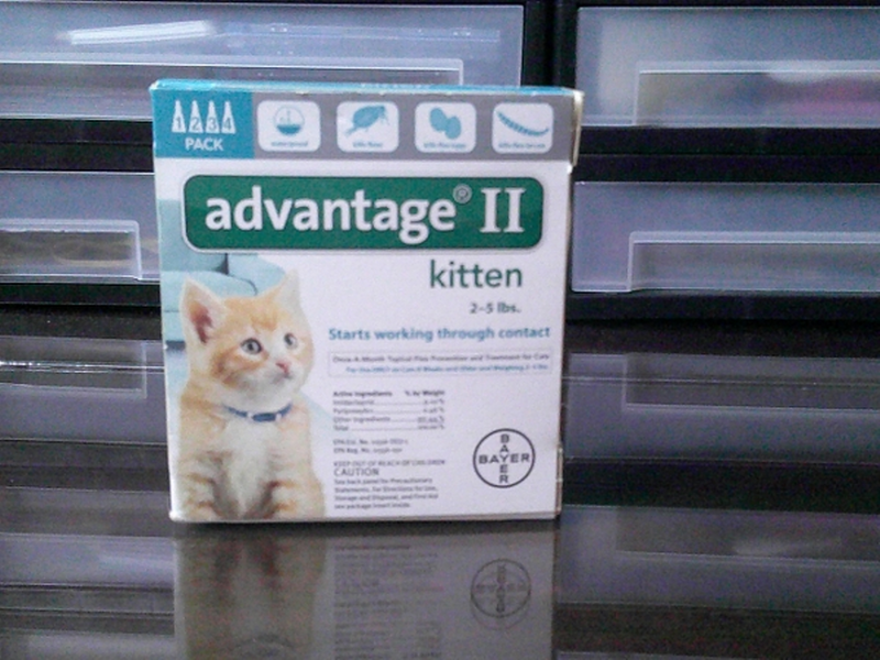 (image for) Advantage II Flea Treatment