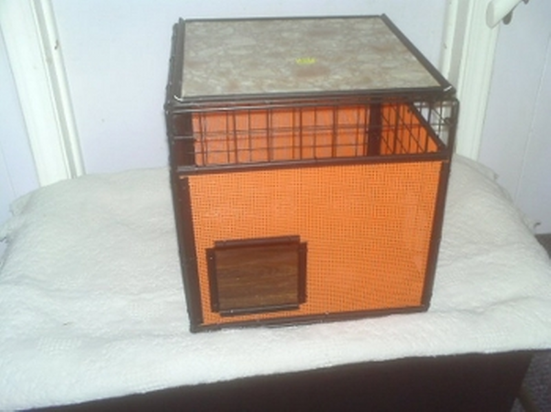 Rabbit Condo (Orange)