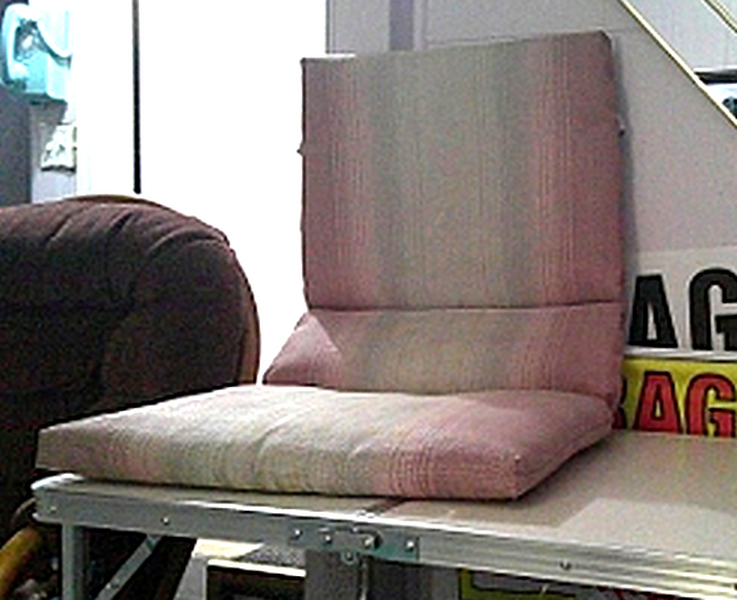 Patio Chair Cushion (Pink Stripe)